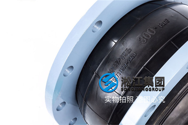 阜阳污水处理厂二期扩建DN300,220mm橡胶膨胀节